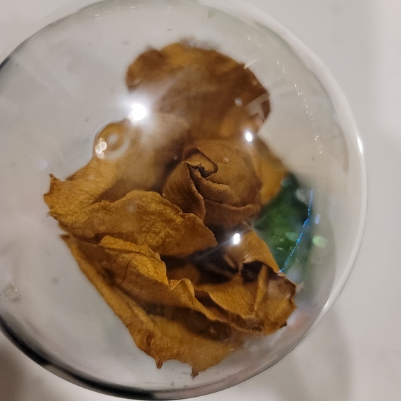 Belle and the Cogsworth Clock in the globe with Rose Beauty and the beast - Picture 3 of 3